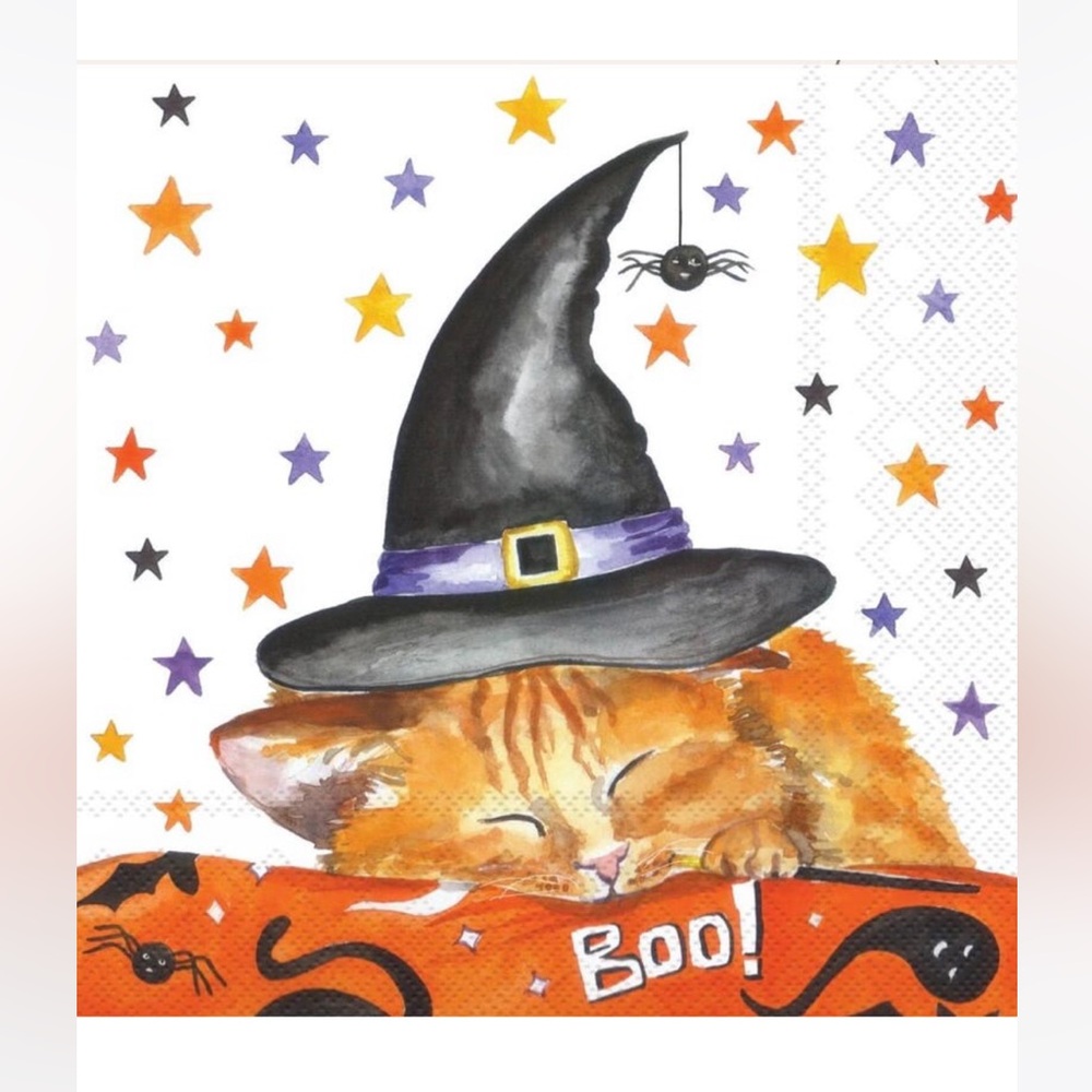 Halloween nwt Cat cocktail Napkins with Black Witch Hat pack of 40 12.5”